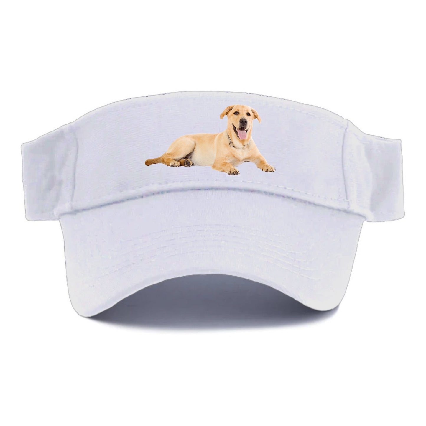 Labrador laying down Hat