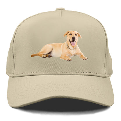 Labrador laying down Hat