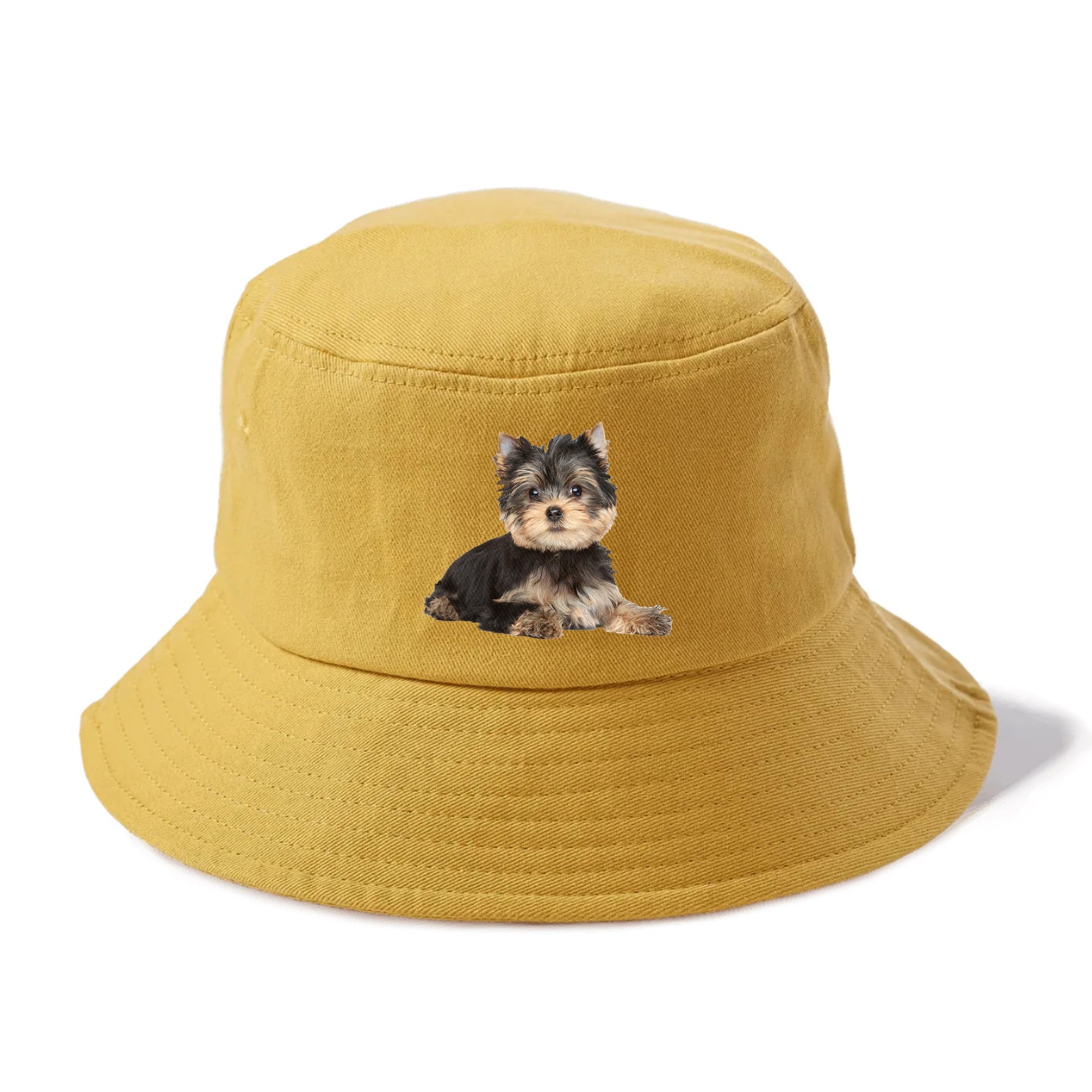 Yorkshire terrier Hat