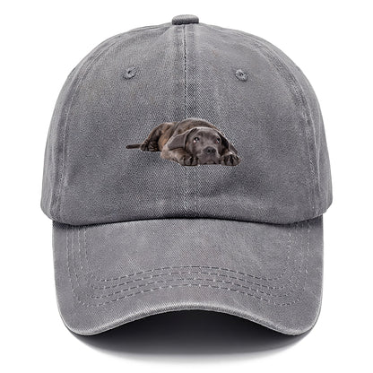 cane corso Hat