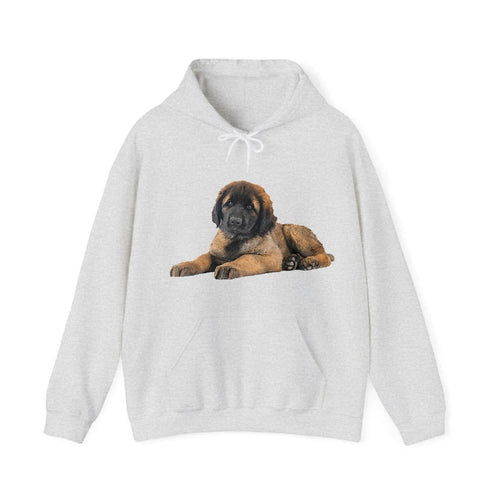 Leonberger Hooded Sweatshirt