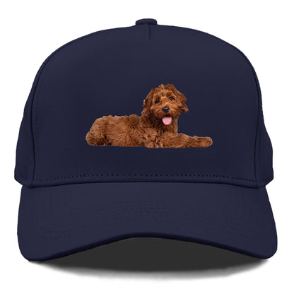 Labradoodle laying down Hat