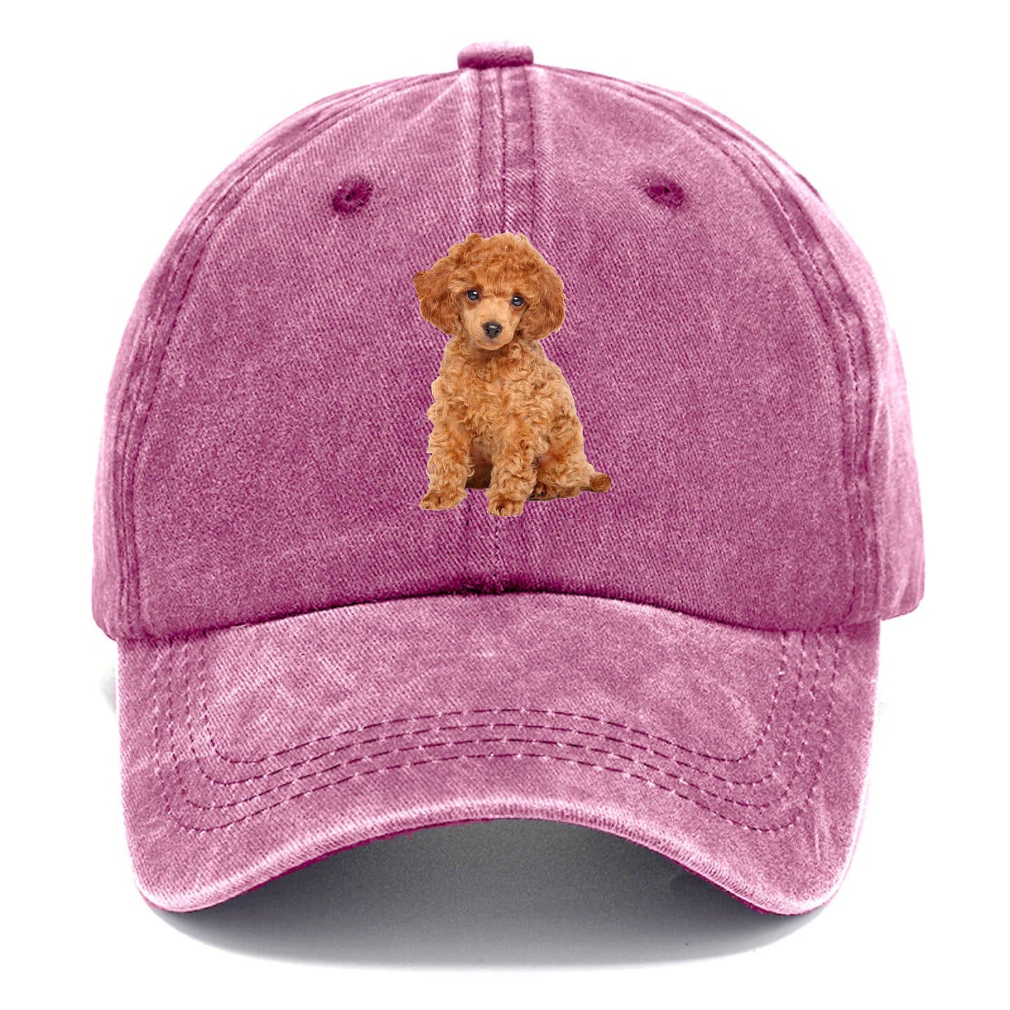 toy poodle Hat