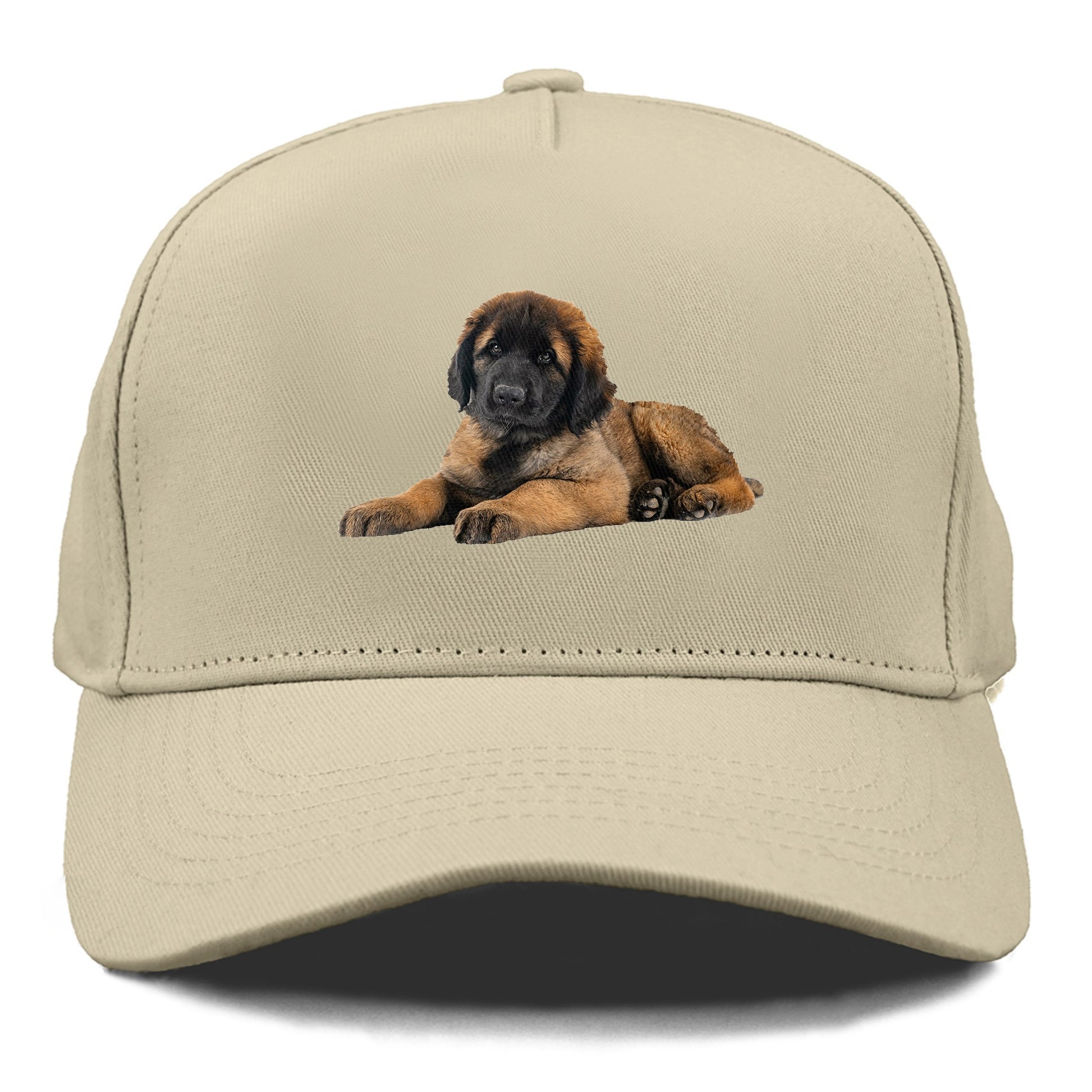 Leonberger Hat