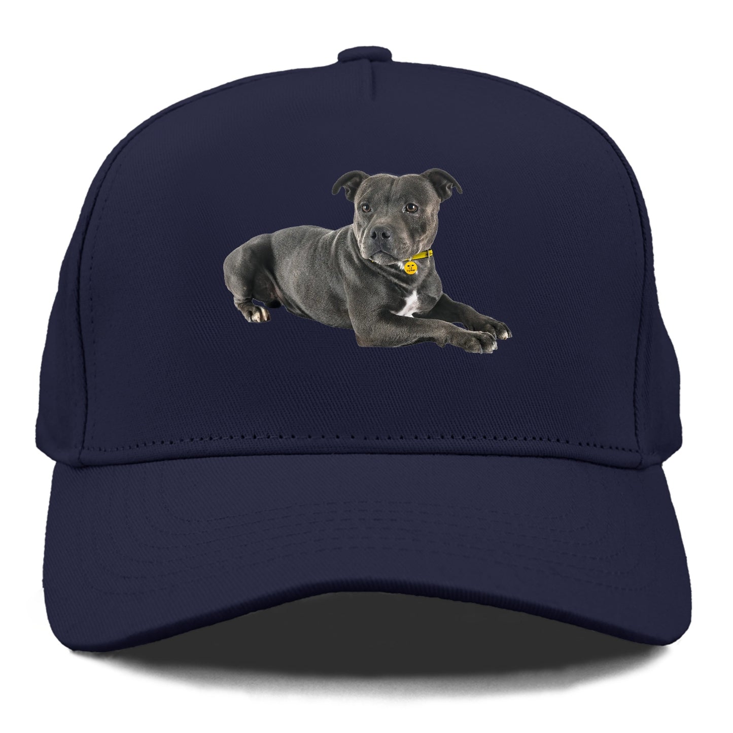 Staffordshire Bull Terrier Hat