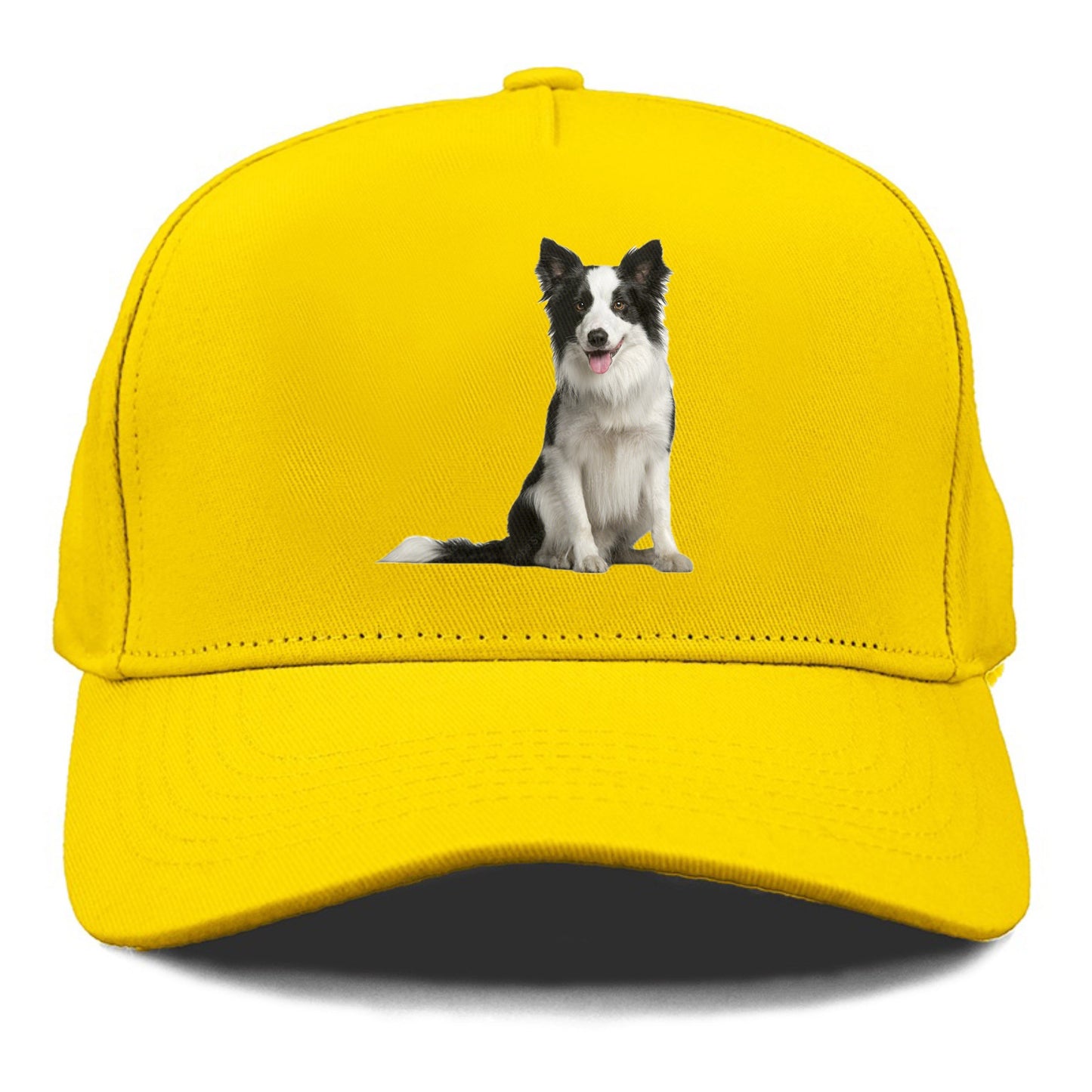 Border Collie Hat