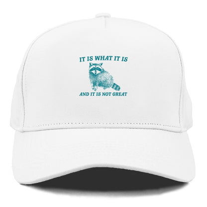 it is what it is Hat