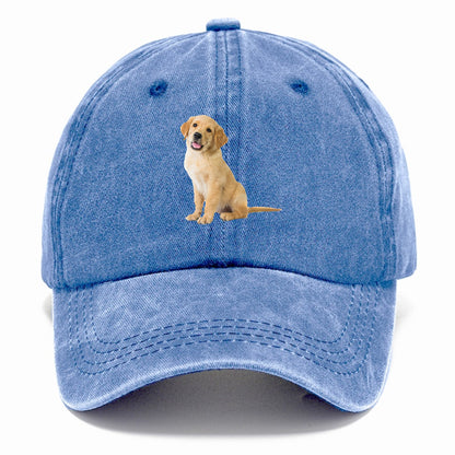 Playful golden pup with a cheerful expression Hat