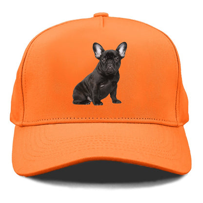 french bulldog Hat