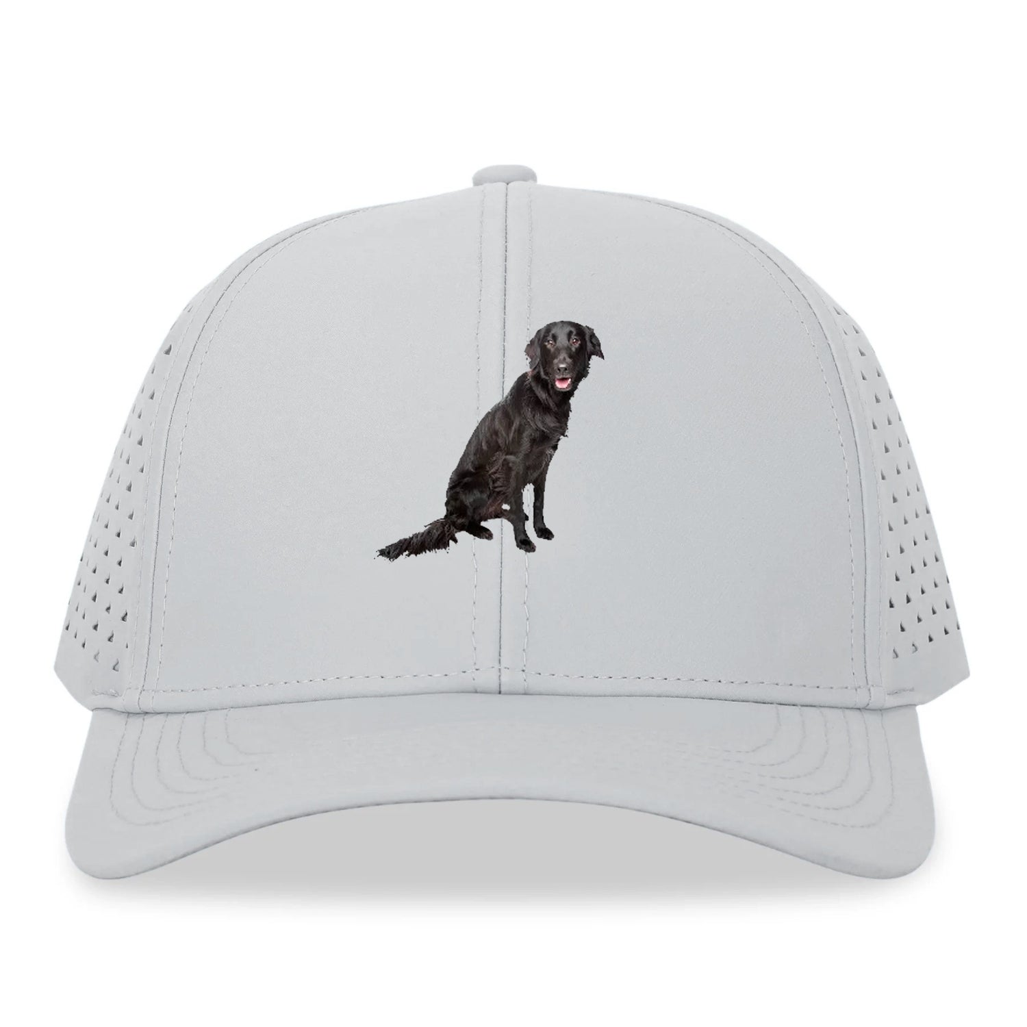 FlatCoated Retriever Hat