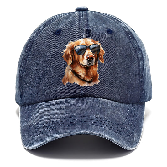 golden retriever in sun glasses Hat