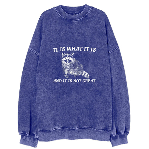 It Is What It Is Vintage Sweatshirt