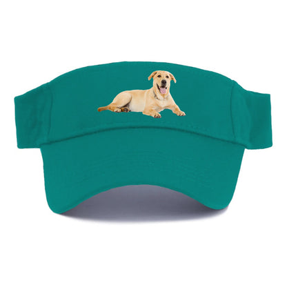 Labrador laying down Hat