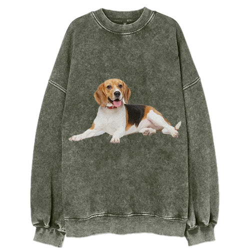 Beagle Vintage Sweatshirt