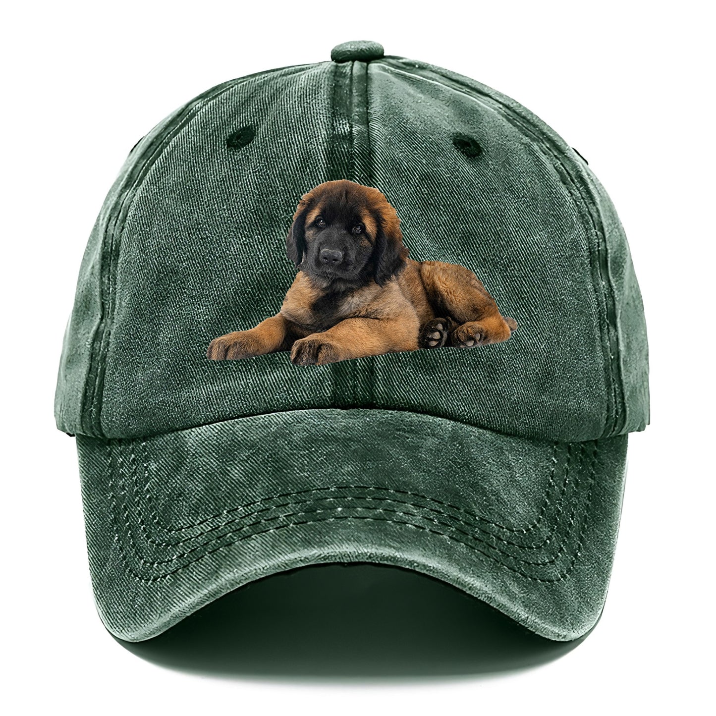 Leonberger Hat