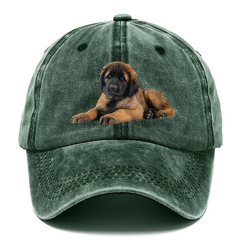 Leonberger Classic Cap