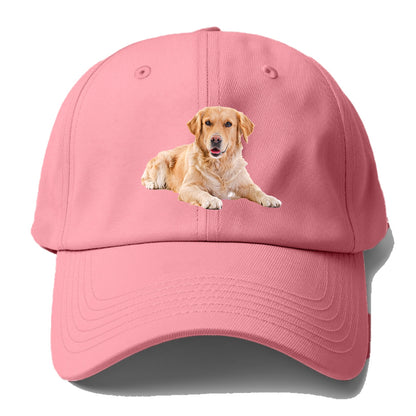 Golden Retriever laying down Hat