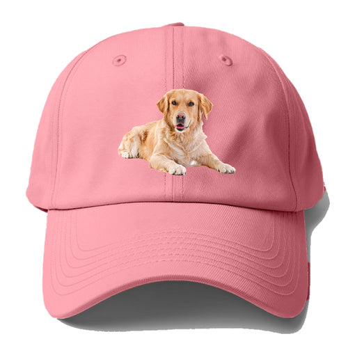 Golden Retriever Laying Down Baseball Cap For Big Heads