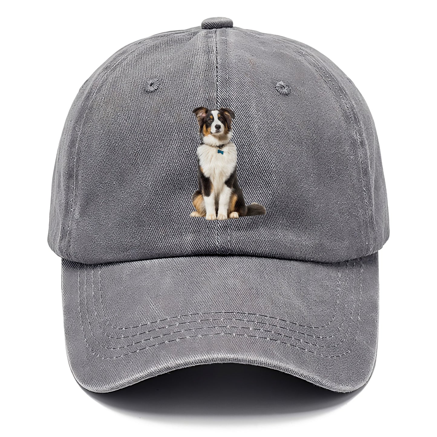 Attentive Australian Shepherd sitting upright Hat