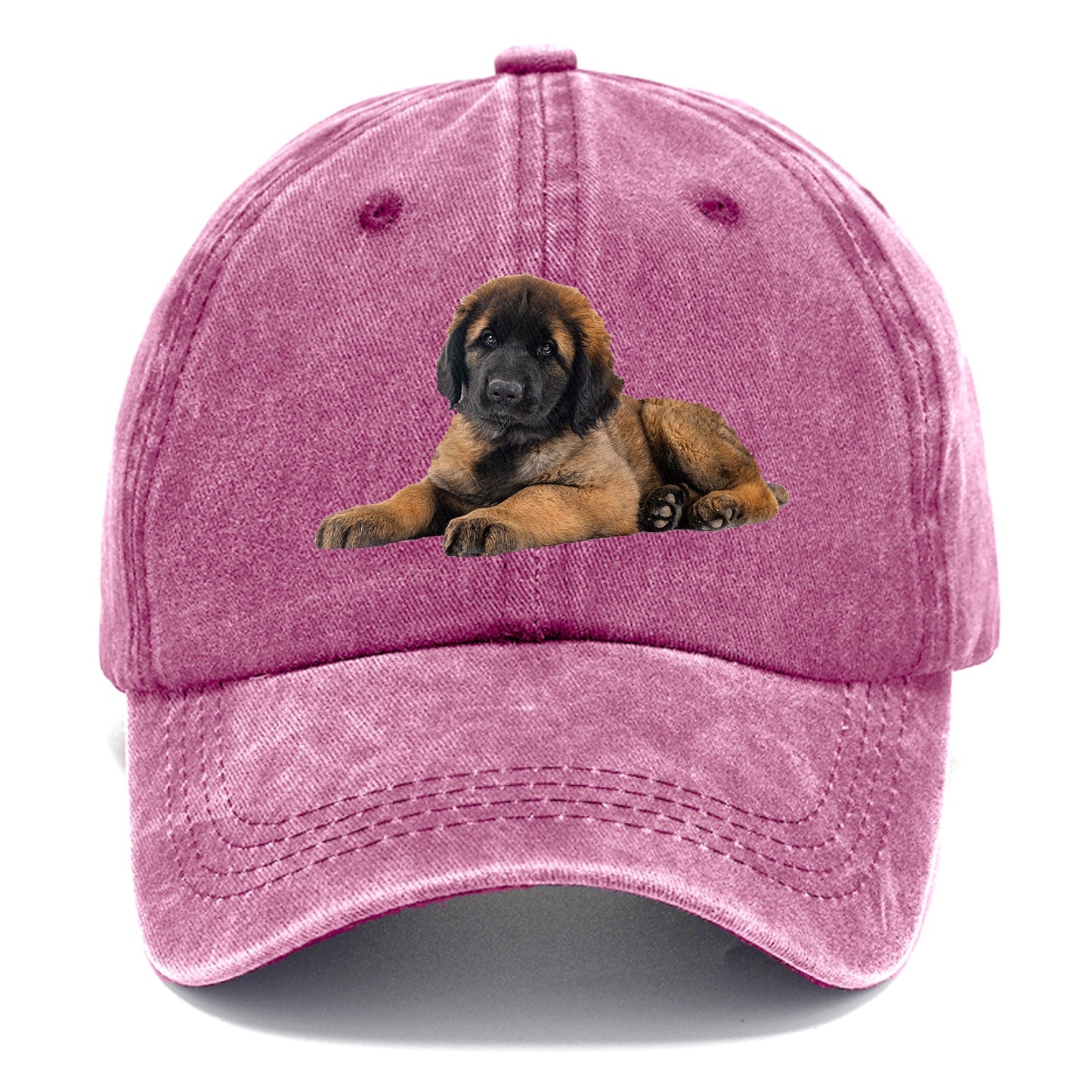 Leonberger Hat