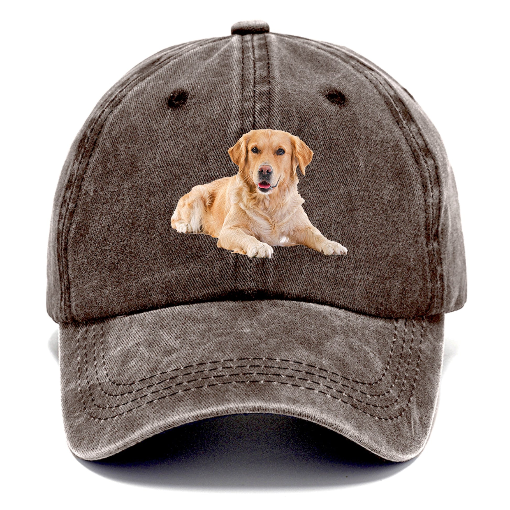 Golden Retriever laying dow Hat