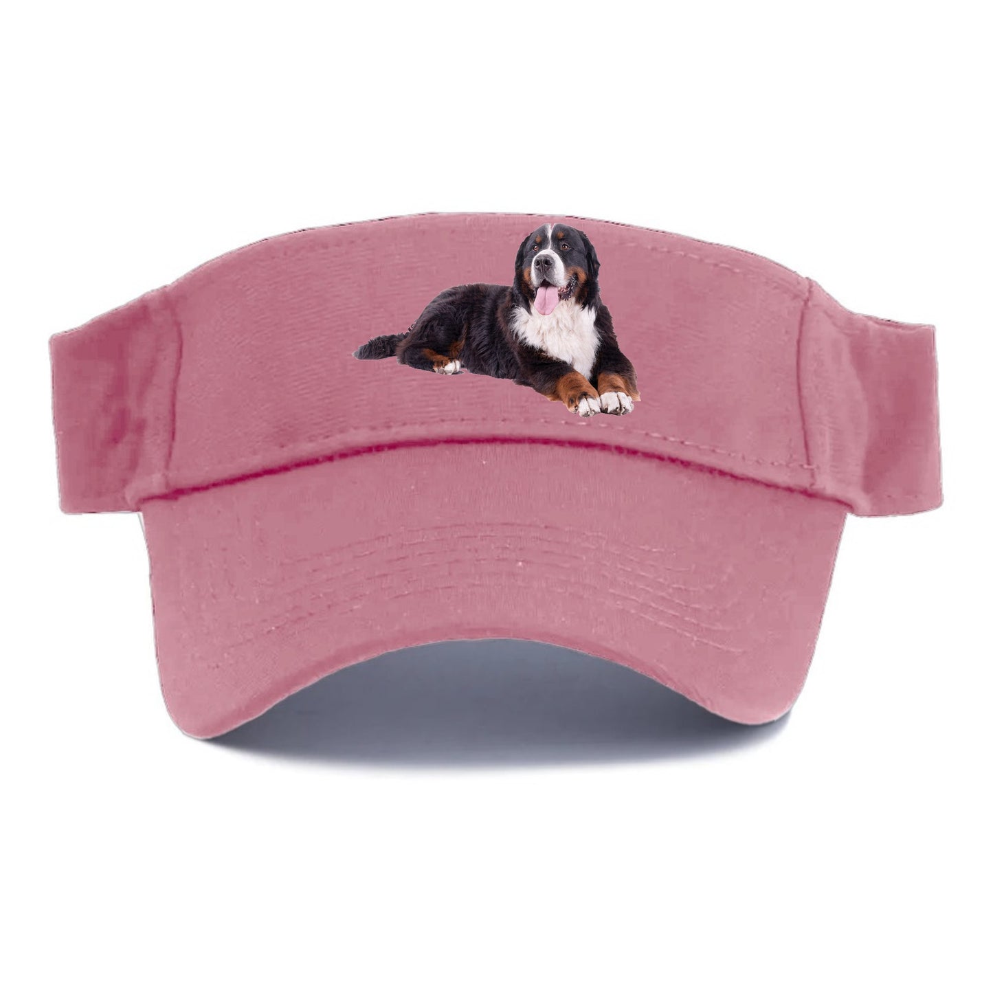 bernese mountain dog Hat