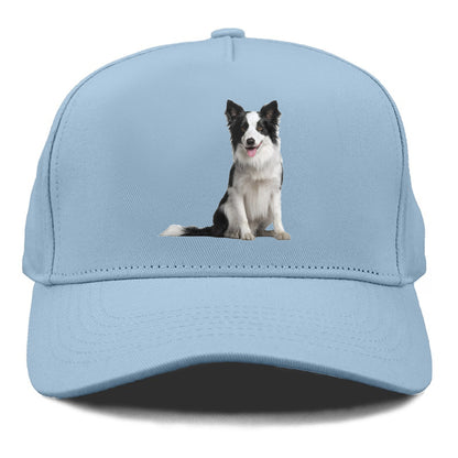 Border Collie Hat