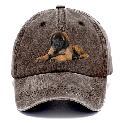 Leonberger Hat