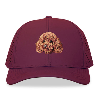 Teddy Bear Dog Hat