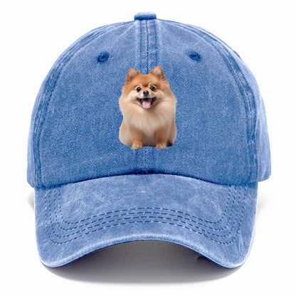 Delighted Pomeranian  Hat