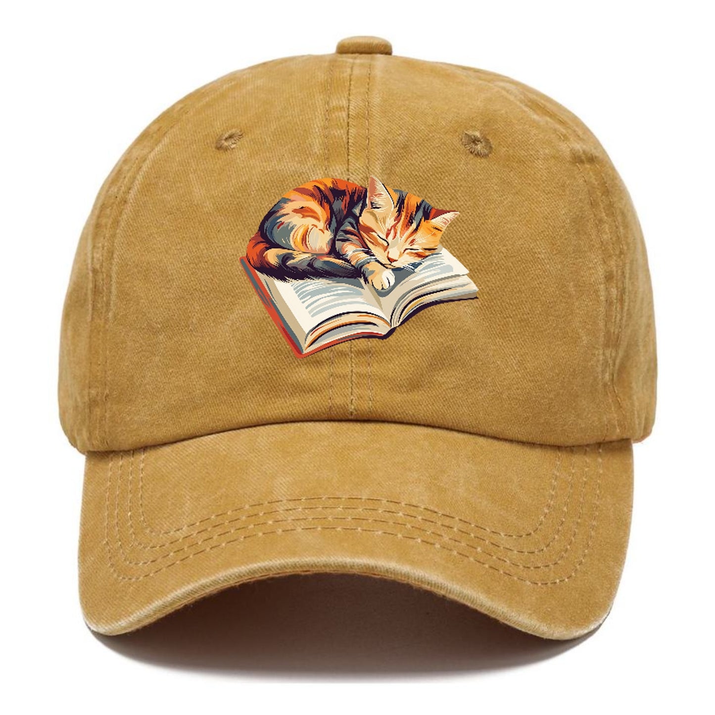 Cat Nap on Book Hat