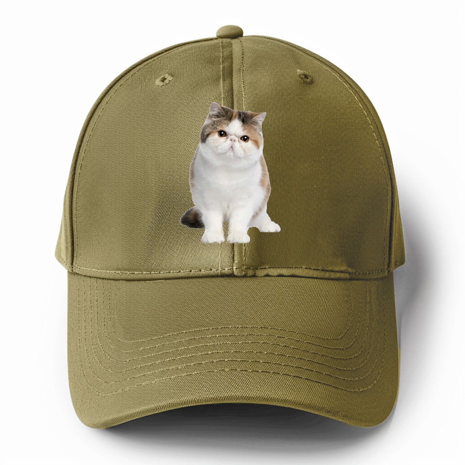 exotic shorthair Hat