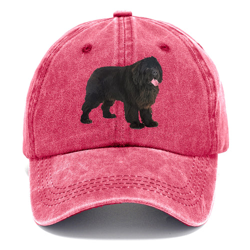 Newfoundland Classic Cap