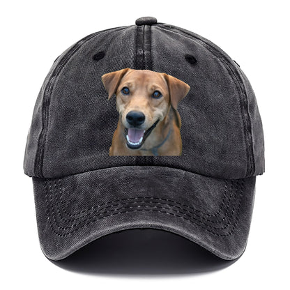 Labrador Hat