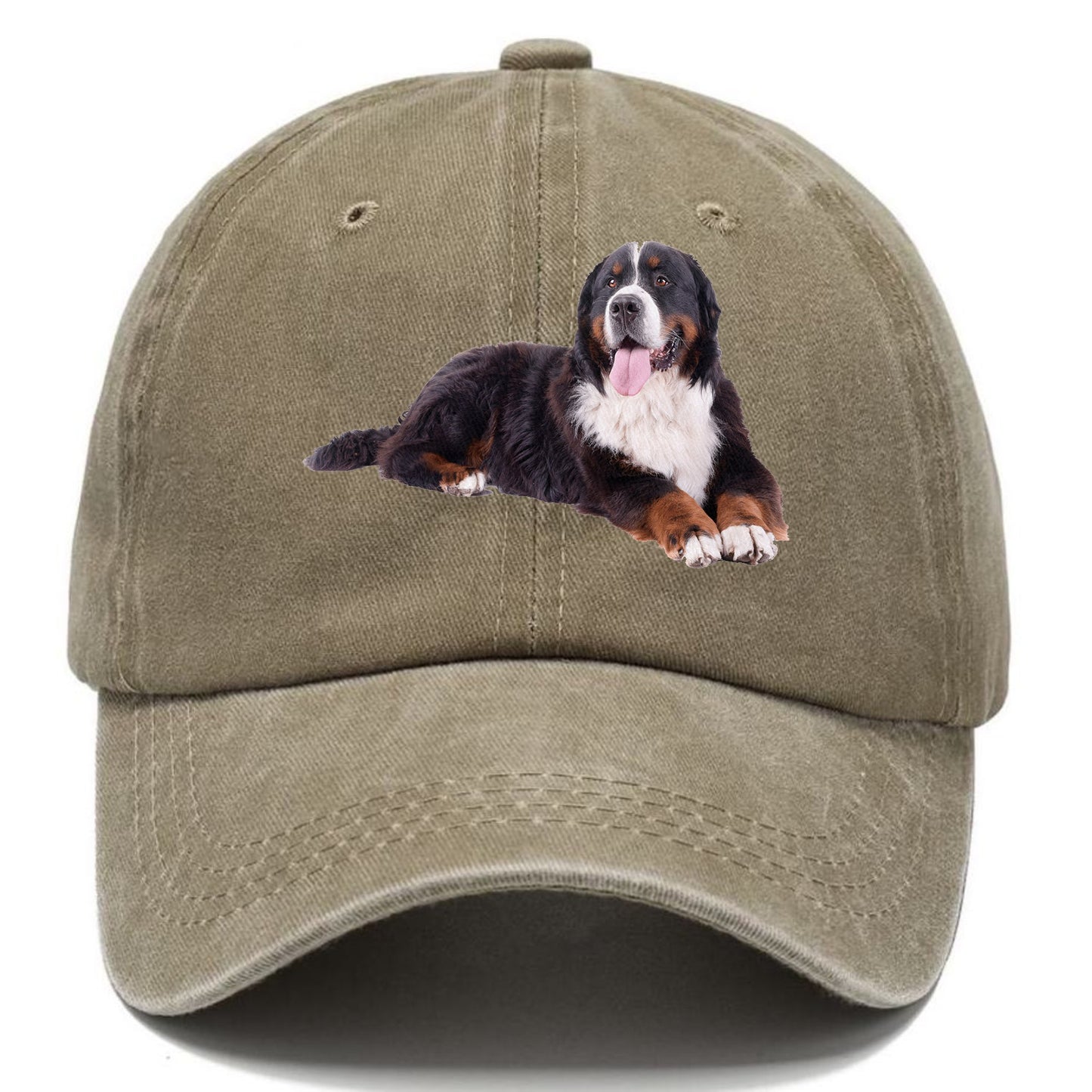 bernese mountain dog Hat