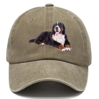 bernese mountain dog Hat