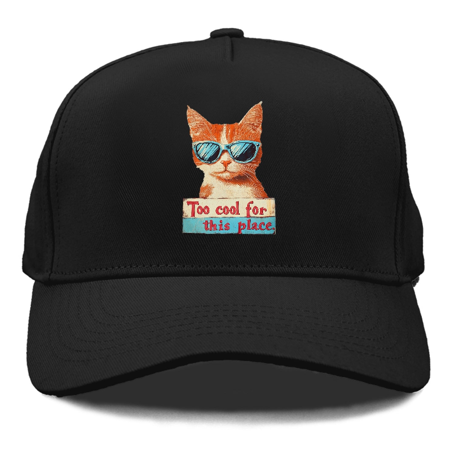 Cool Cat with Sunglasses Hat