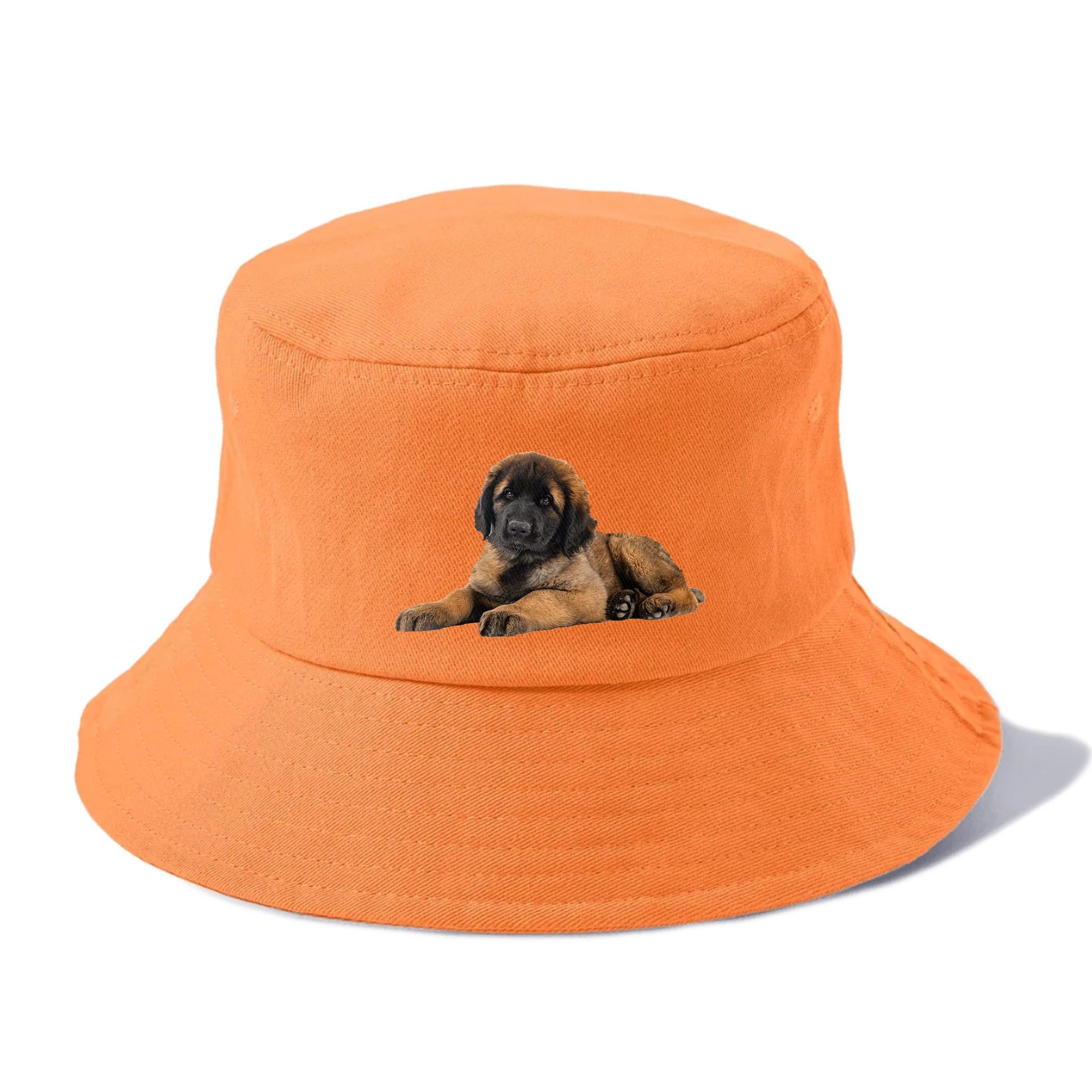 Leonberger Hat