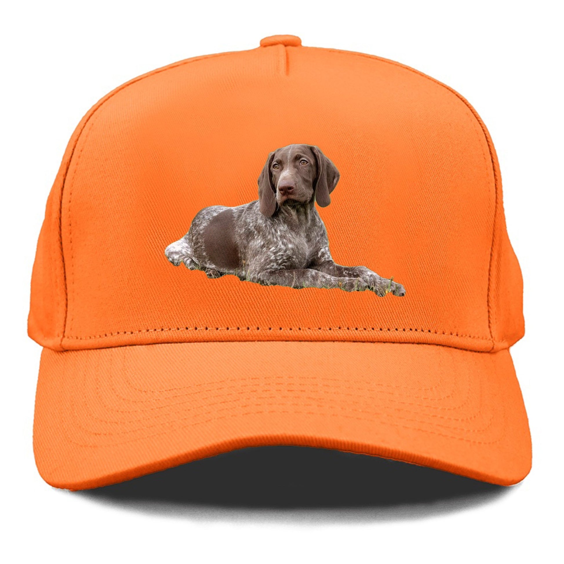 German Shorthaired Pointer 2 Hat