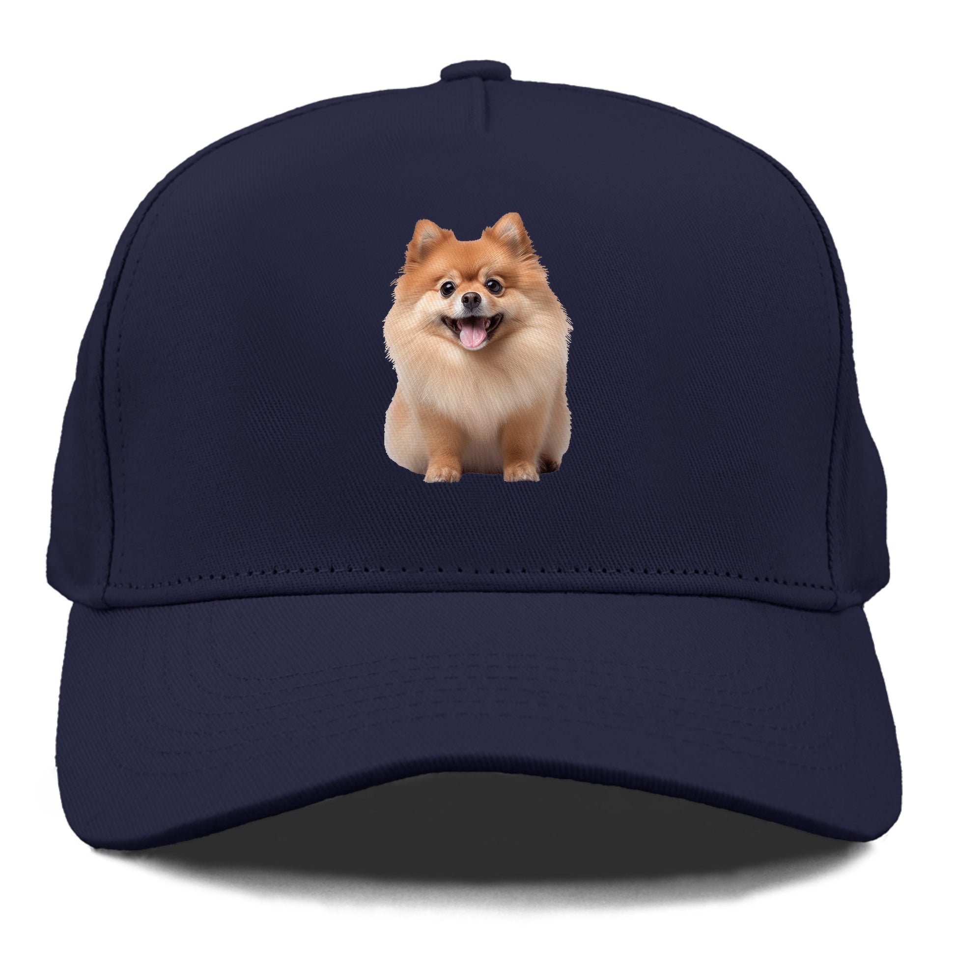 Delighted Pomeranian  Hat