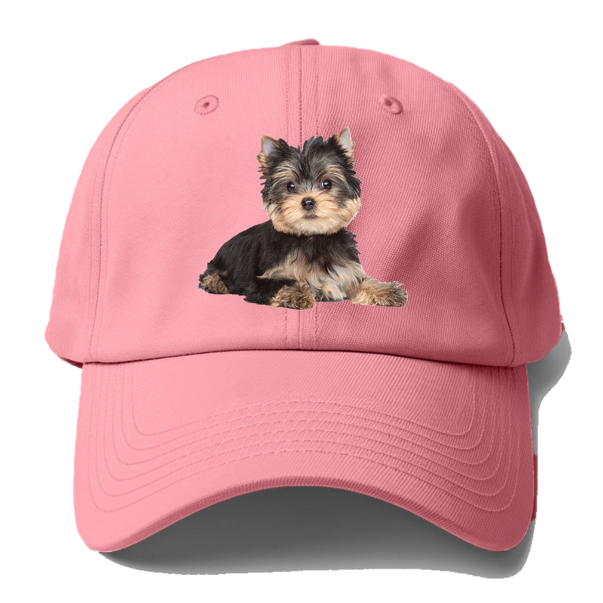 Yorkshire terrier Hat