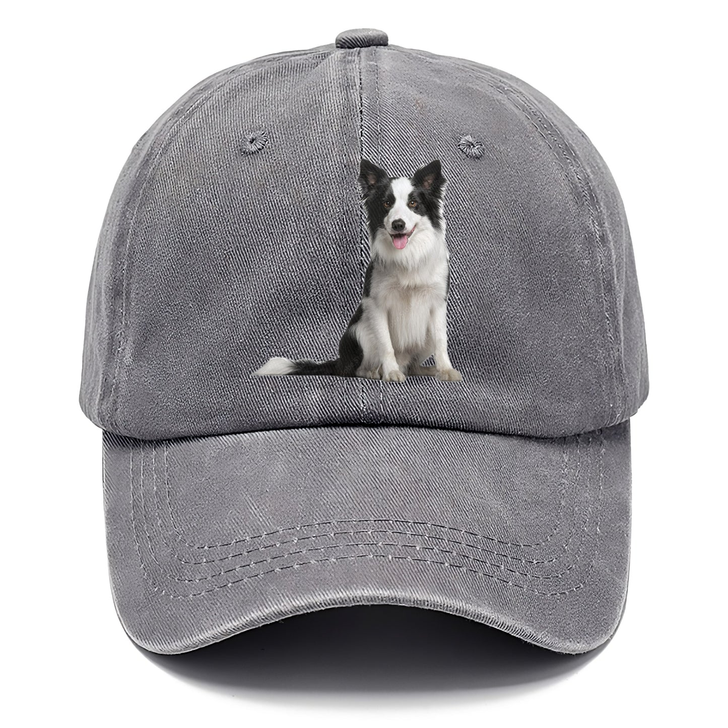 Border Collie Hat