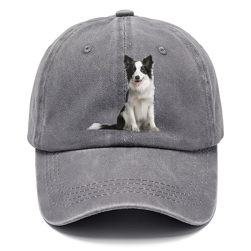 Border Collie Classic Cap