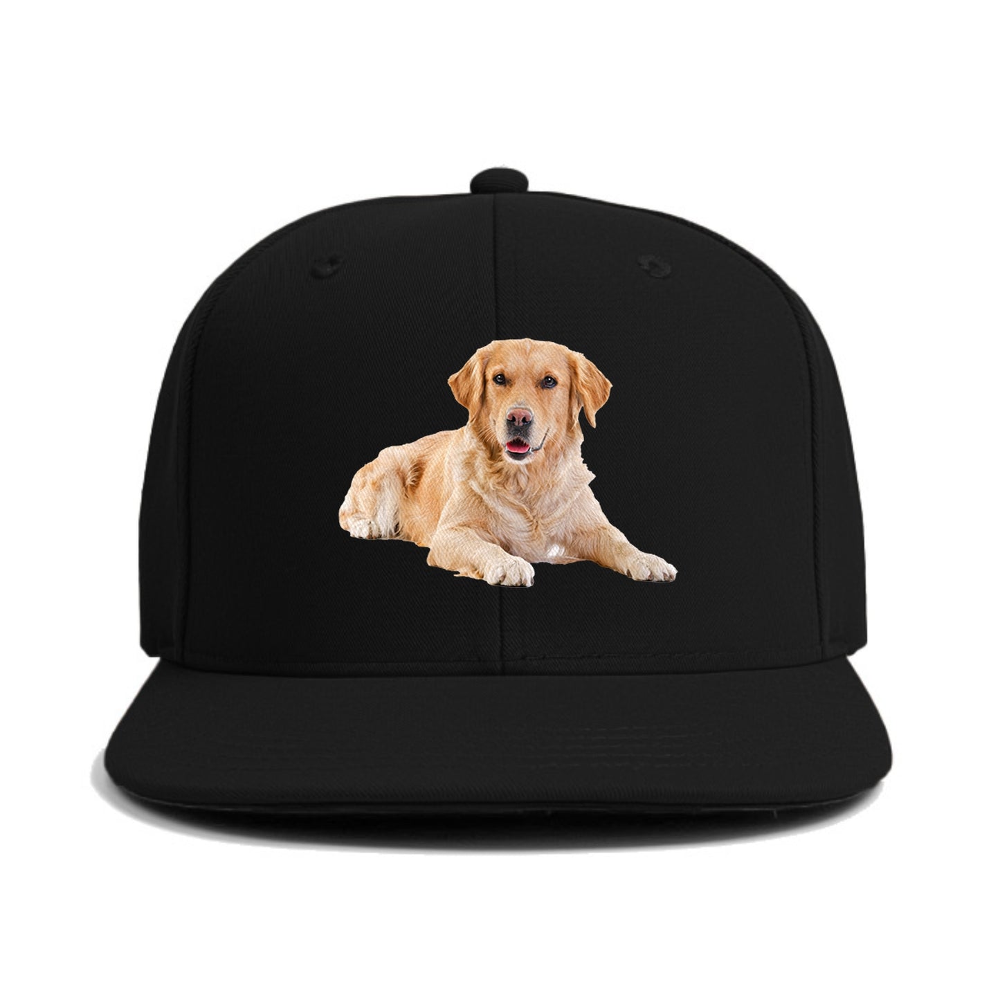 Golden Retriever laying down Hat