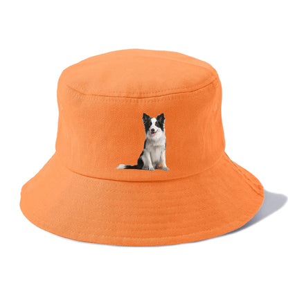 Border Collie Hat