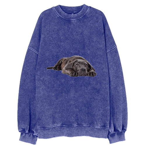 Cane Corso Vintage Sweatshirt