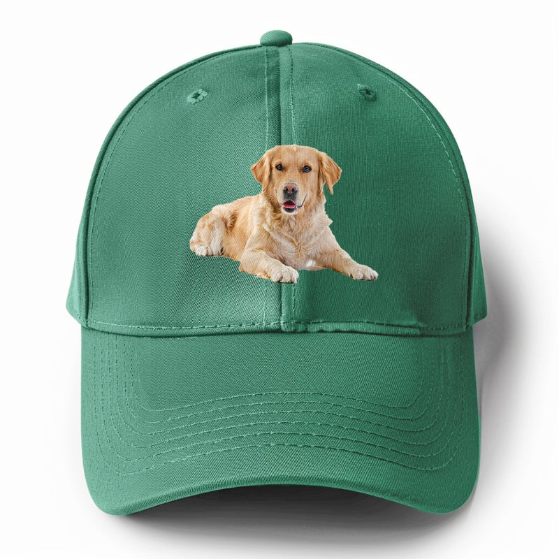 Golden Retriever laying down Hat