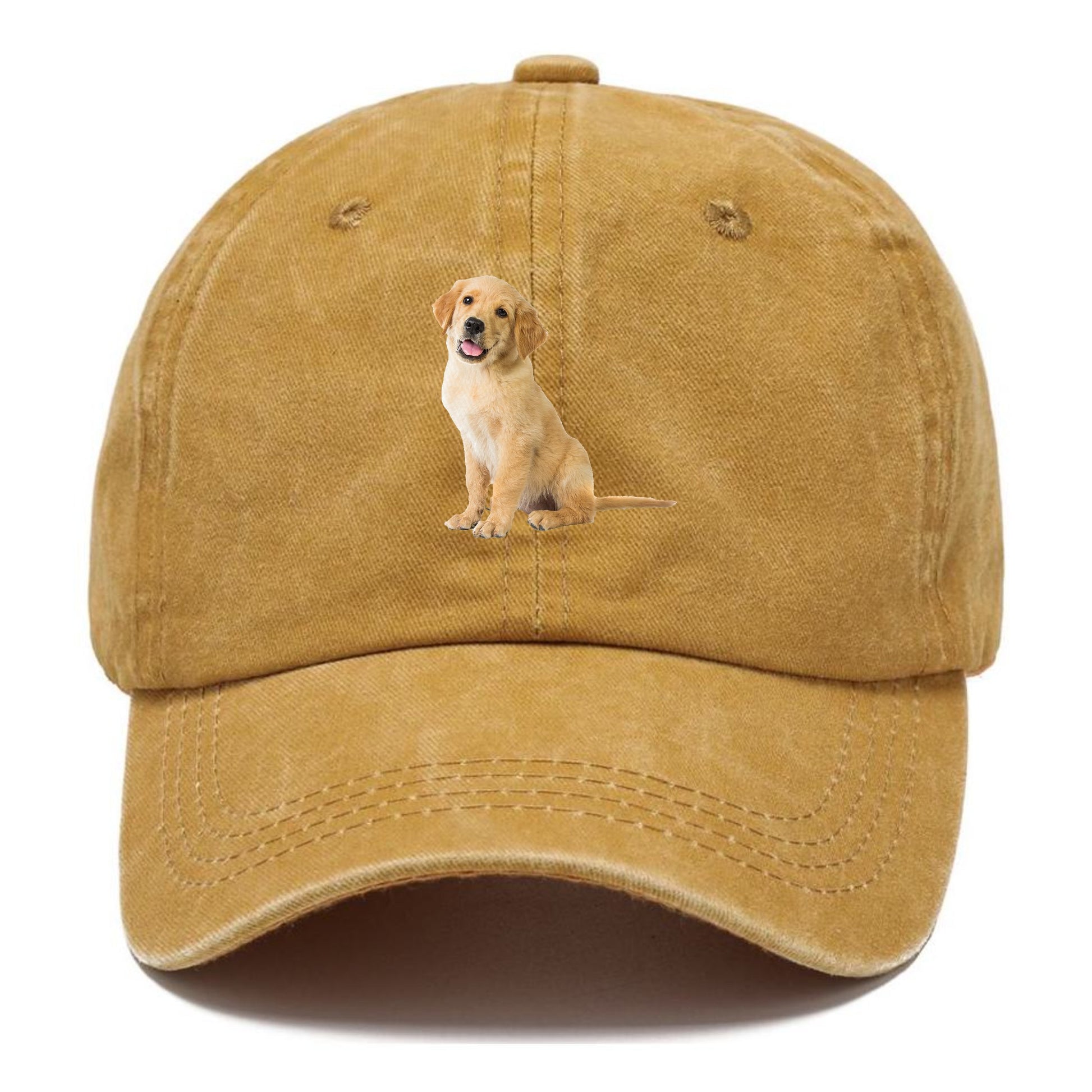 Playful golden pup with a cheerful expression Hat
