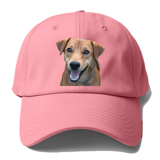 Labrador Hat