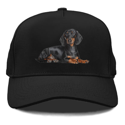 dachshund Hat